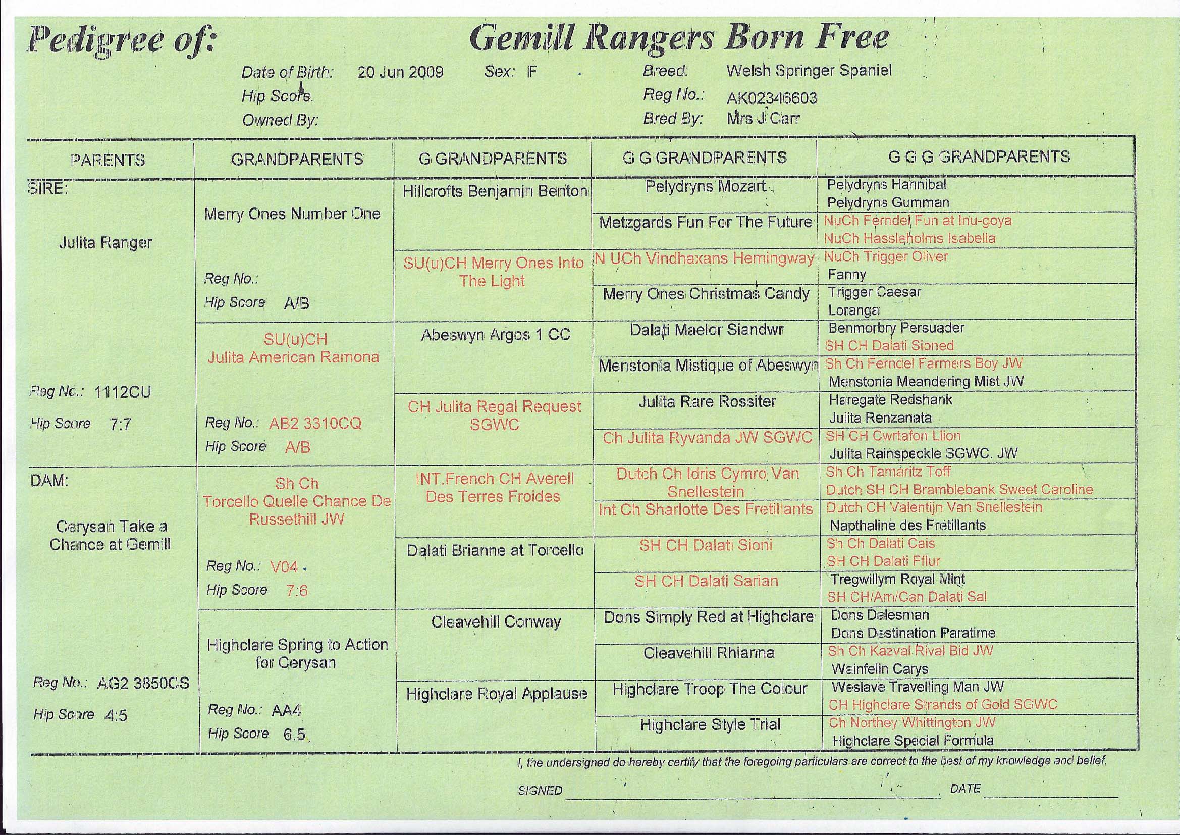 Amanshe Welsh Springer Spaniels